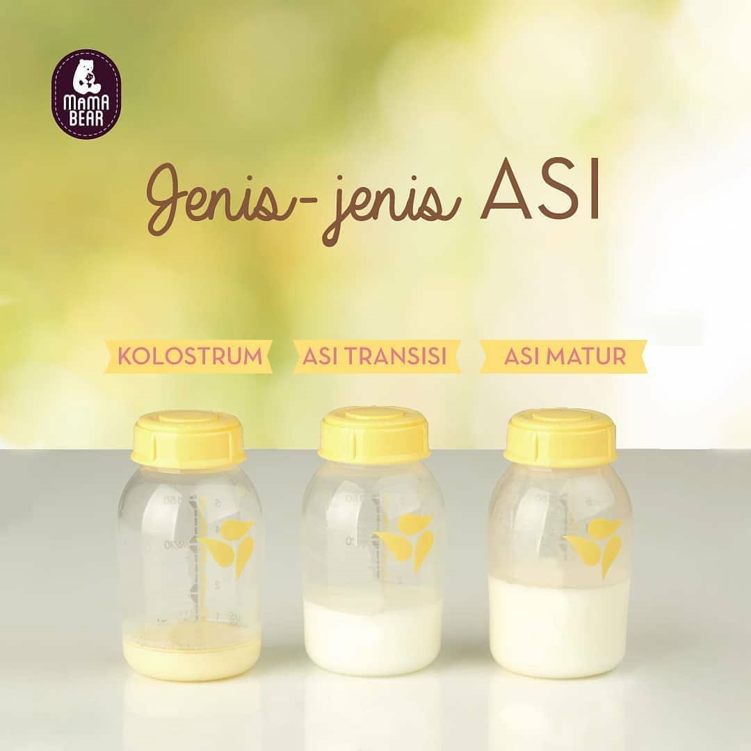 4.	Jenis – Jenis ASI 