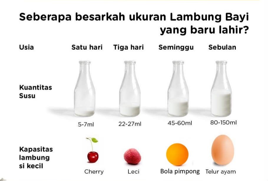 3.	Mengapa Bayi Hanya Butuh ASI Pada Usia 0-6 Bulan?